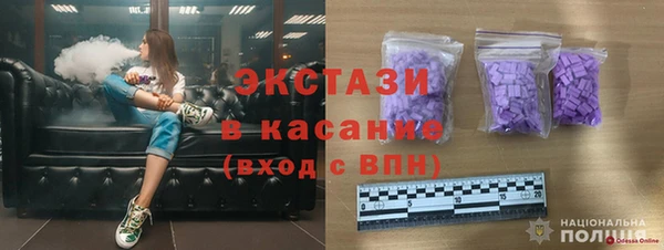 гашик Гусь-Хрустальный