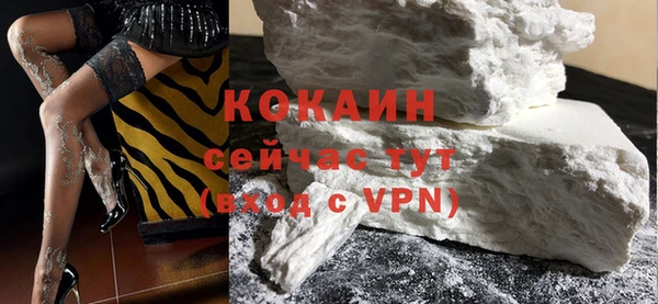 гашик Гусь-Хрустальный