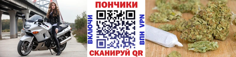 kraken Няндома Канабис индика